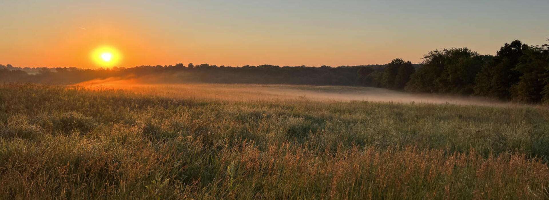 Missouri Land Auctions - Farm & Ag Land for Auction Missouri Land Auctions - Farm & Ag Land for Auction