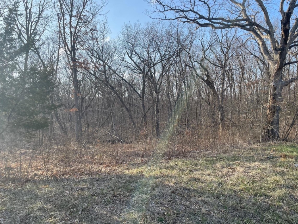4.1 Acres Highway O, Green Castle, MO
