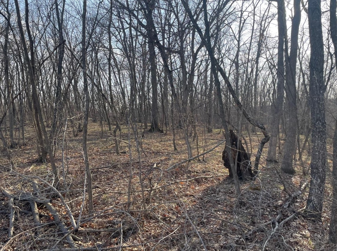 5 Acres Bethel Ridge Rd. Adair County, MO