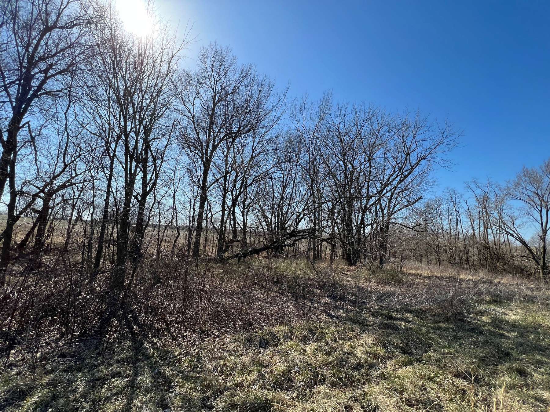 6+ Acres near Thomas Hill