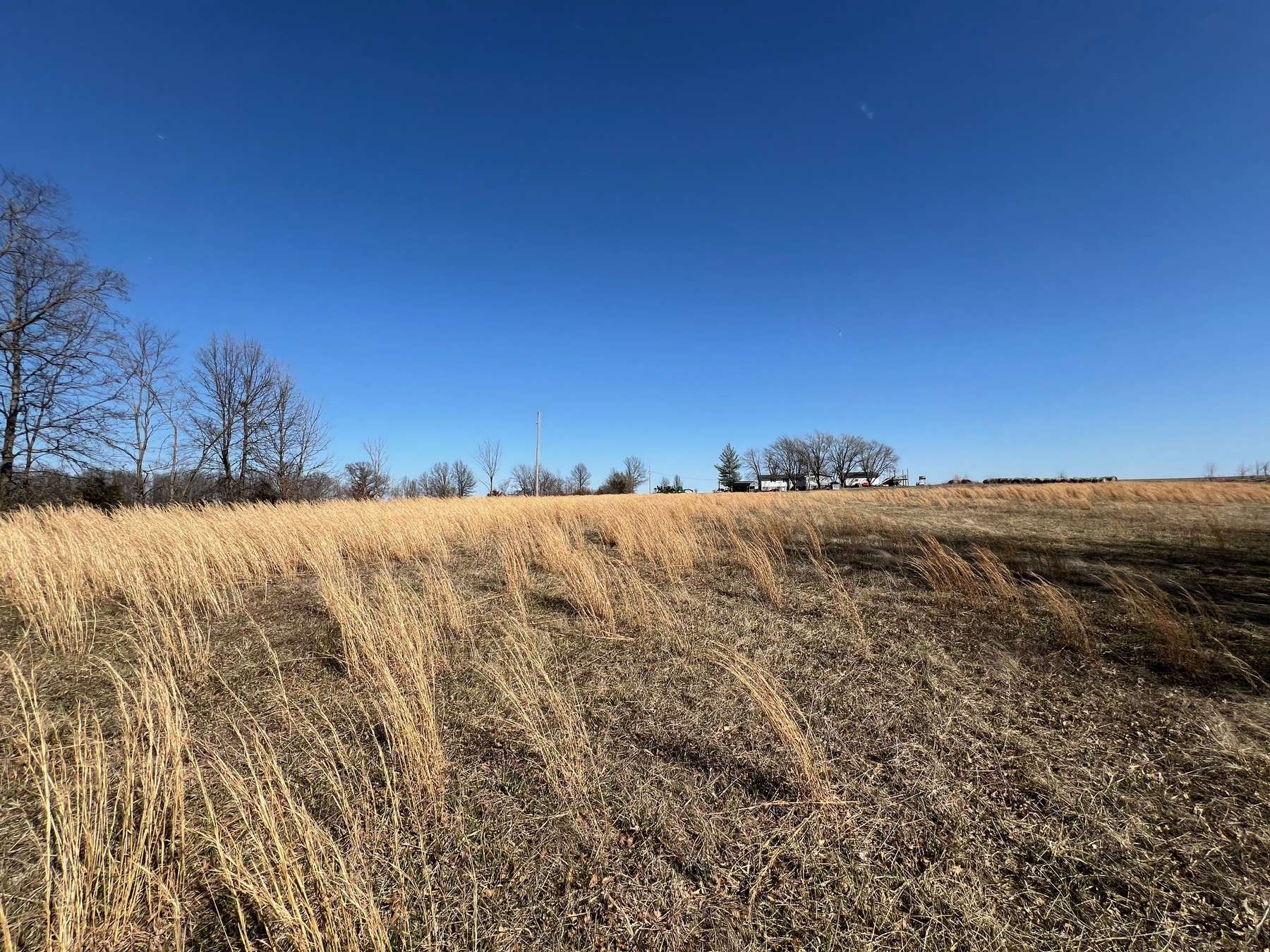 6+ Acres near Thomas Hill