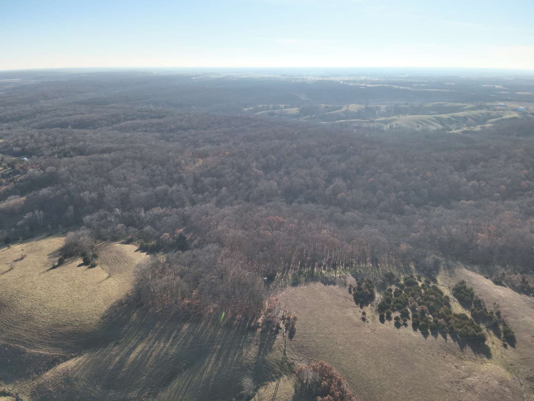 95+ Acres in Bucklin, MO