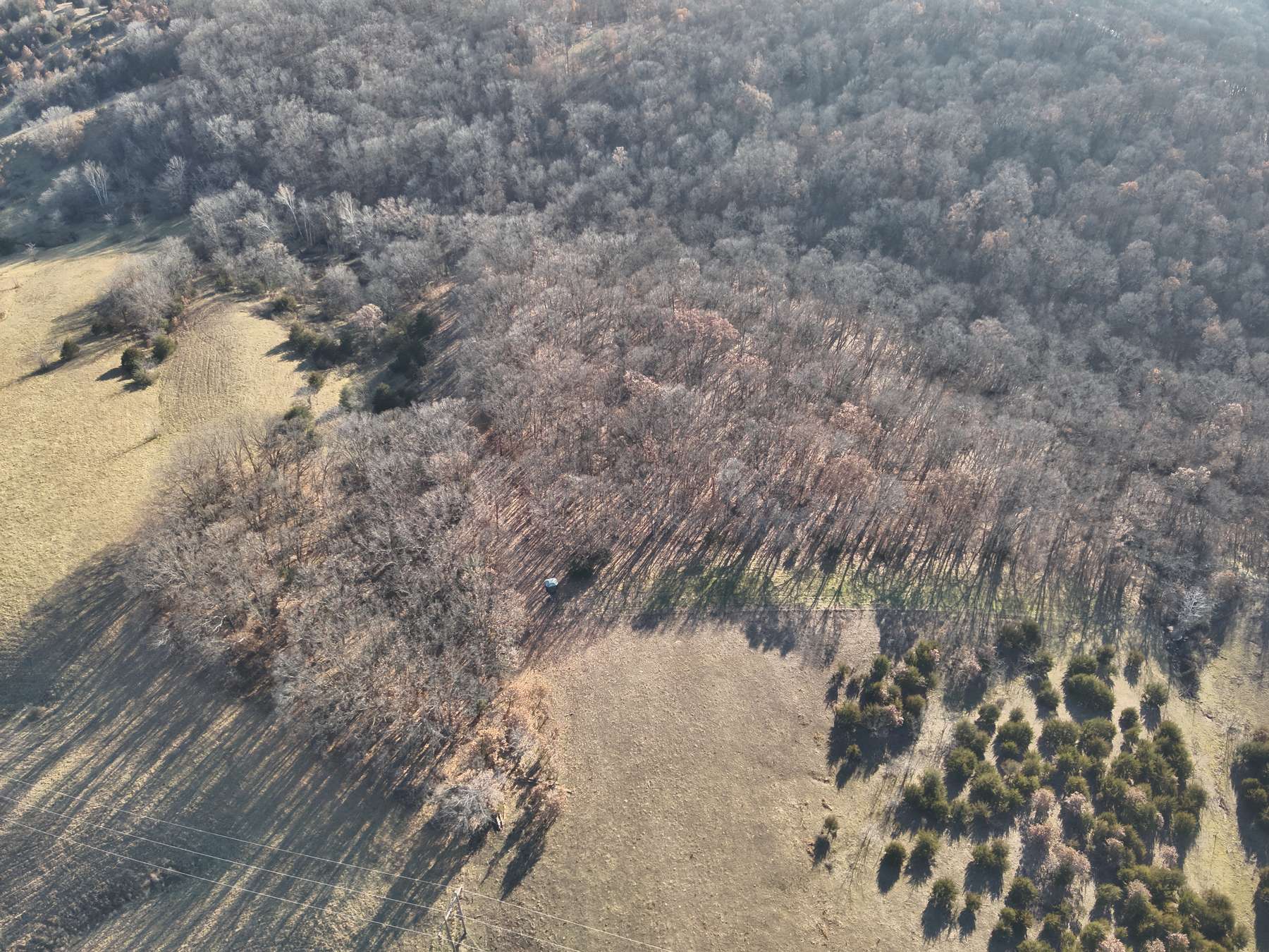 95+ Acres in Bucklin, MO