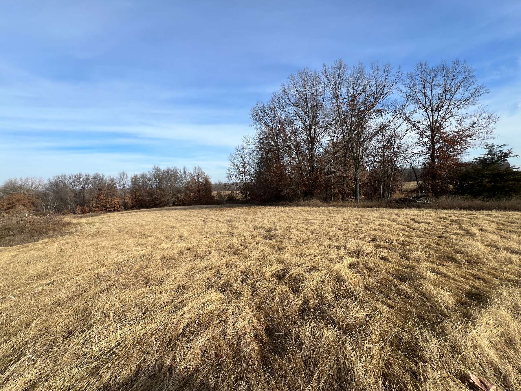 65 +/ Acres in Clifton Hill