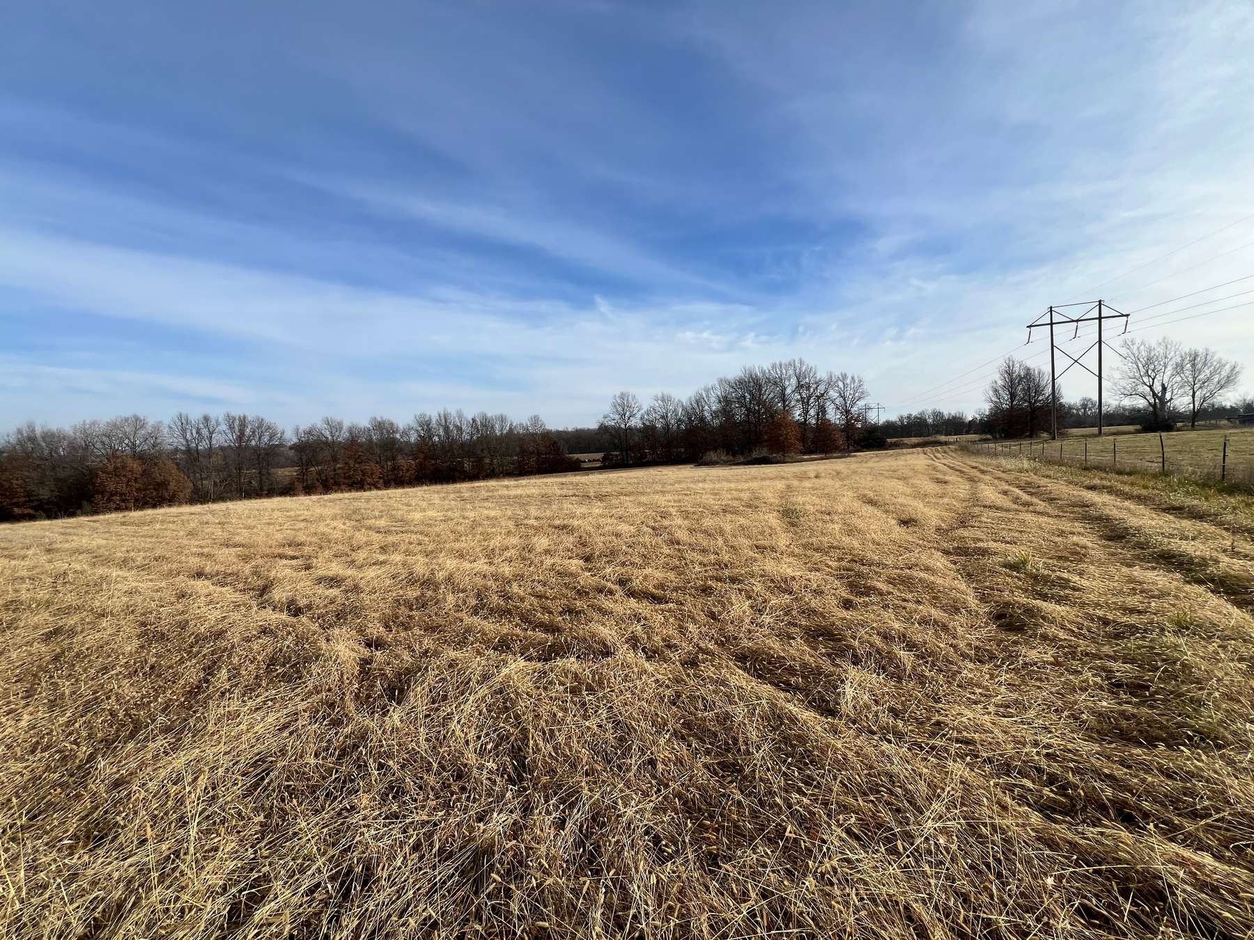 65 +/ Acres in Clifton Hill