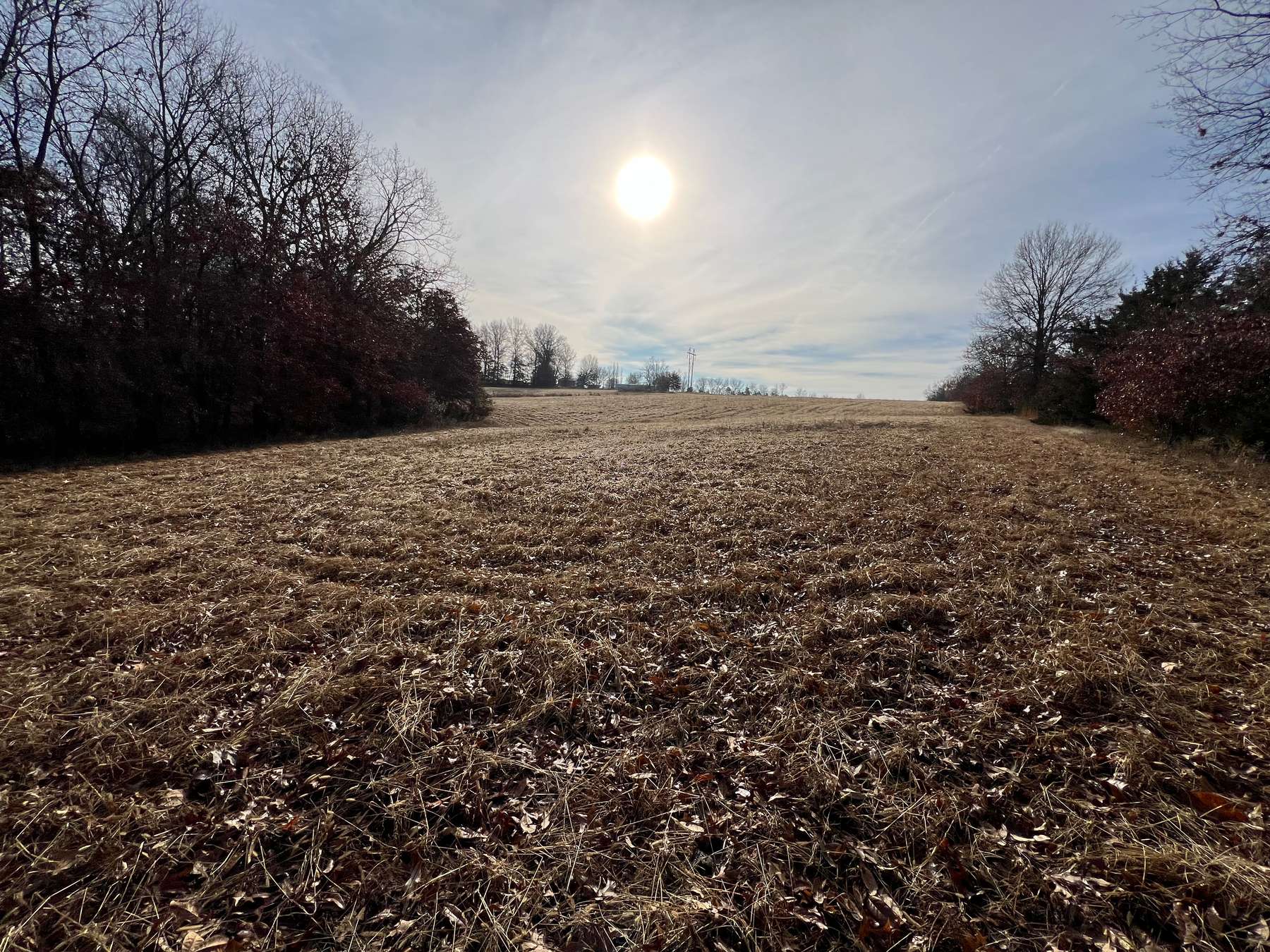 65 +/ Acres in Clifton Hill