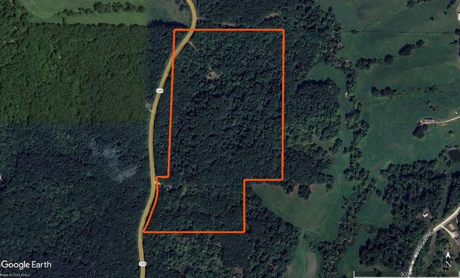 38 Acres of Timberland in Macon County