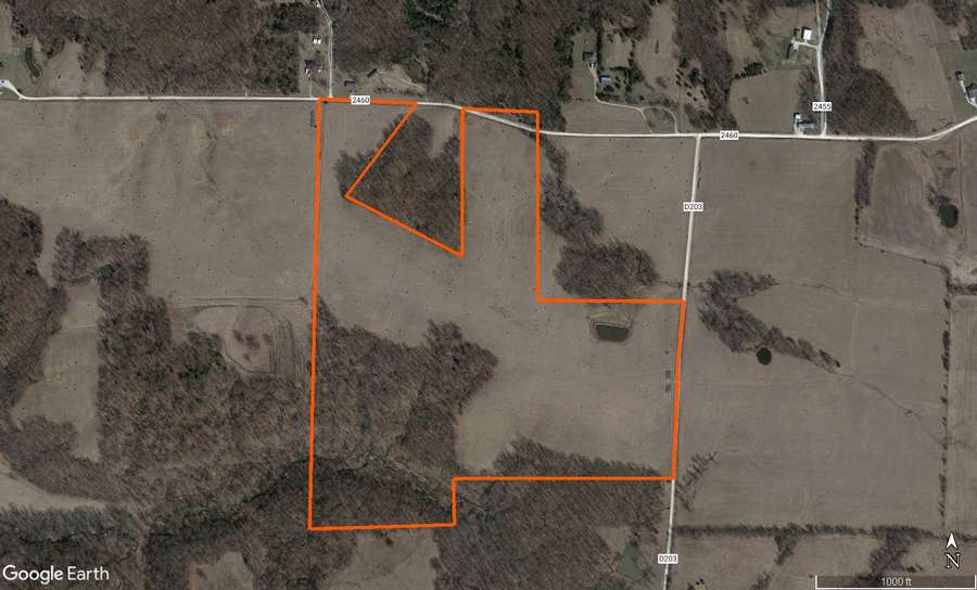 Randolph County 90 Acres of Multi-Use Property