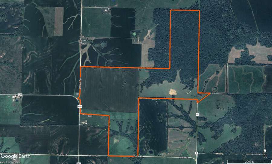 Premium 348.1-Acre Farm: Ideal for Productive Land & Prime Hunting!