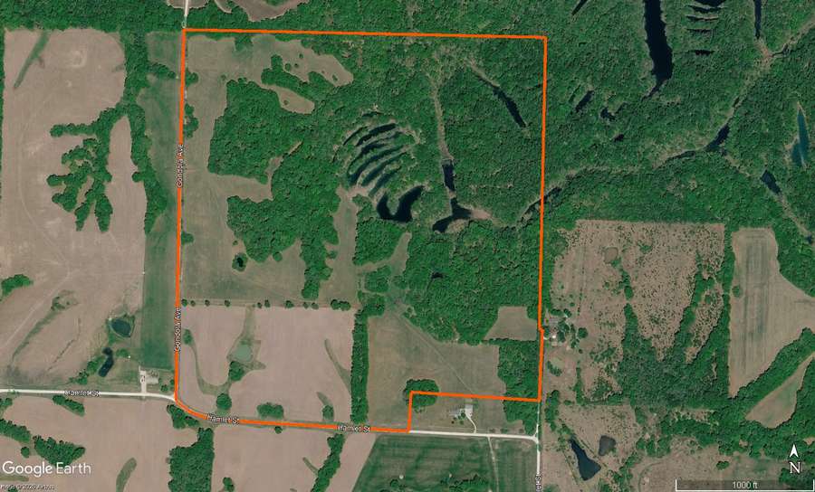 164.95 Surveyed Acres Near Thomas Hill Lake