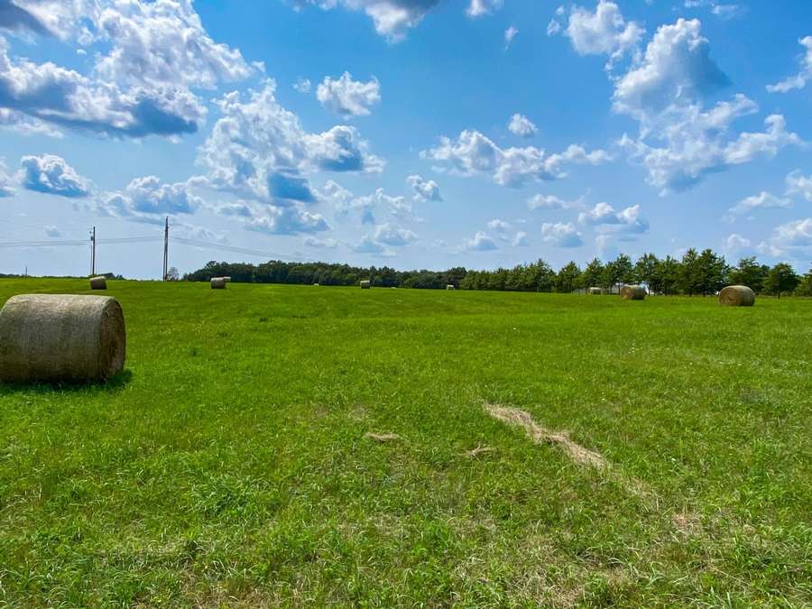 15 Acres in Randolph County