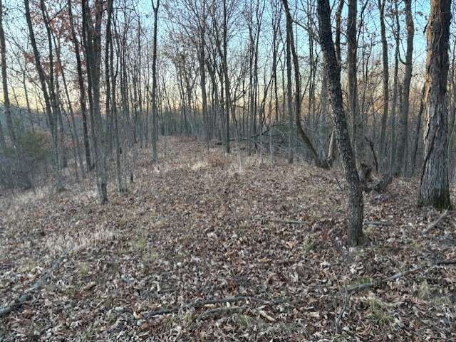 Macon County - 12 Acre Wooded Tract