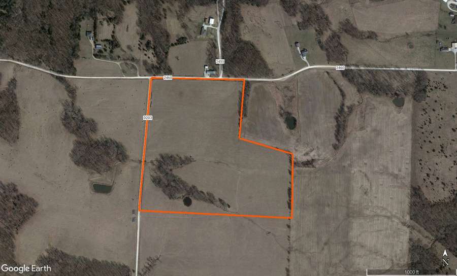 Highly Productive 45 +/- Acres in Randolph County