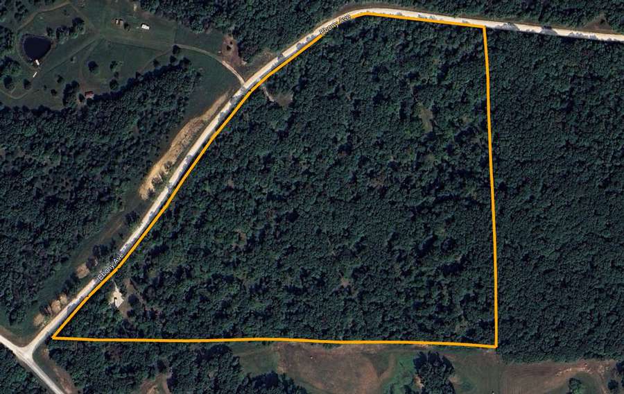 28+ Acre Timber Tract in Macon County