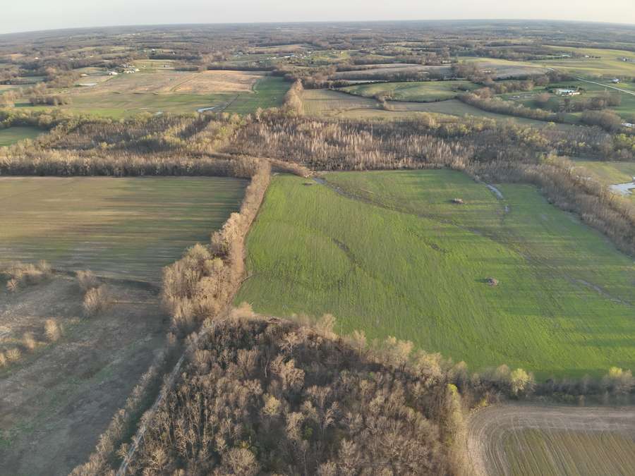 107-Acre Combination Farm with Income and Premier Hunting Habitat