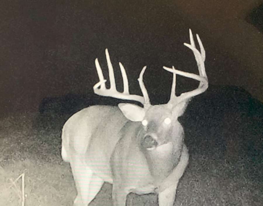 Rolling 32± Acres in Macon County