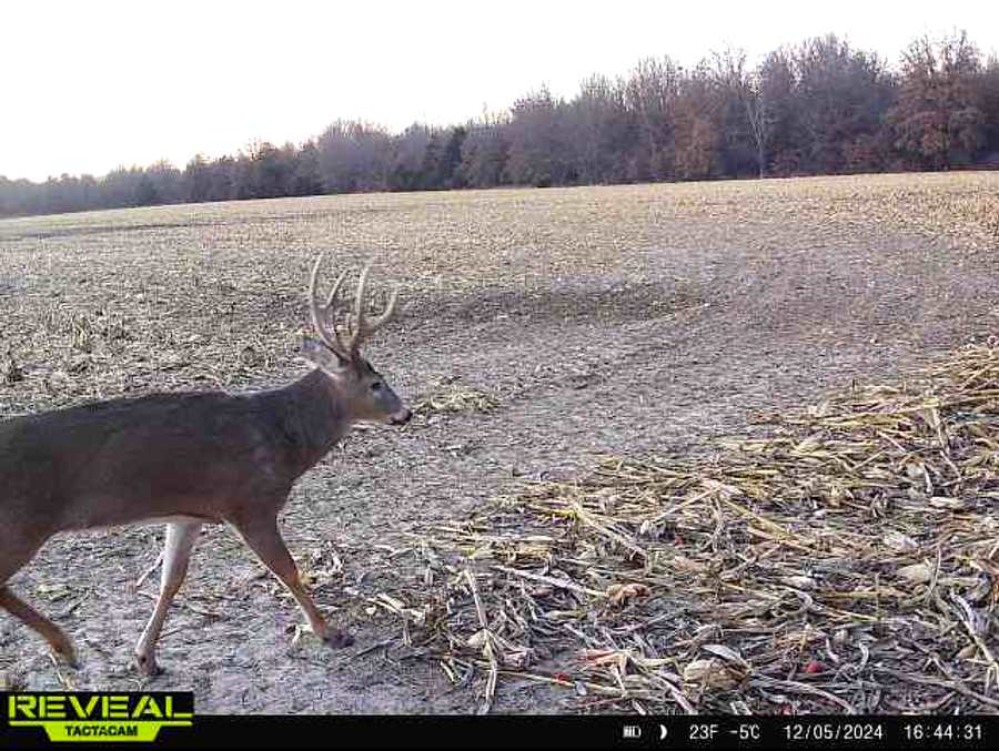 North Missouri Combination Farm!
