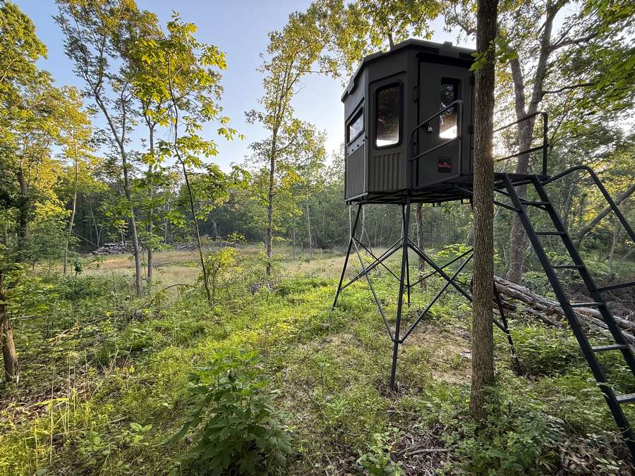 40 Acres of Prime Timber & Hunting Land – Macon County, MO