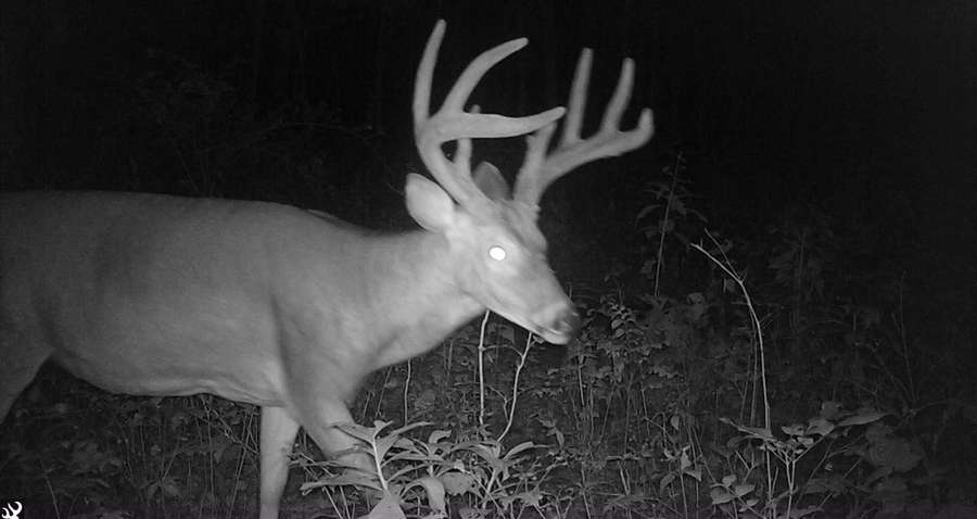 Premium 54 Acre Hunting Farm in Northern Missouri